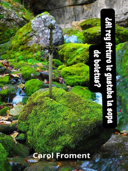 Title details for ¿Al rey Arturo le gustaba la sopa de boletus? by Carol Froment - Available